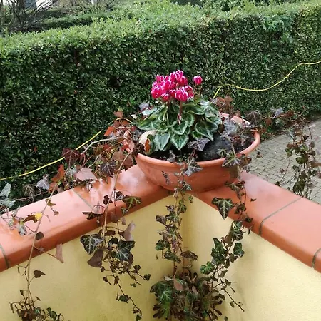Casa Martellucci Apartment Cascina (Pisa)